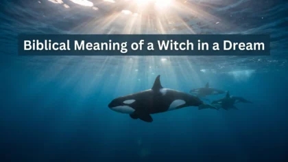 Killer Whale Dream Meaning Biblical: What It Really Means