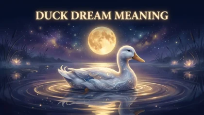 Duck Dream Meaning, Explained Properly