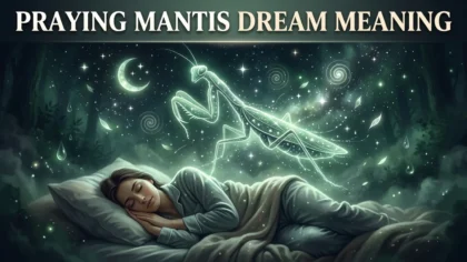 Praying Mantis Dream Meaning: What It Really Symbolizes