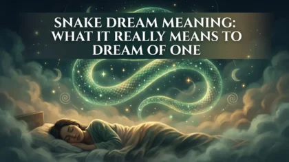 Snake Dream Meaning: What It Really Means to Dream of One