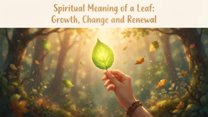 Spiritual Meaning of a Leaf: Growth, Change and Renewal
